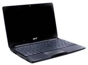 Acer
