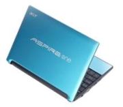 Acer