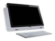 Acer