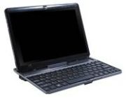 Acer