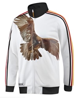 Adidas Collegiate Track Top