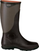 Aigle