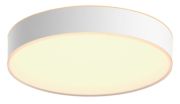 Philips Hue White Ambiance Enrave Deckenleuchte (8718696176436)