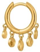 Ania Haie Mini Disc Huggie Hoops (E023-03G)