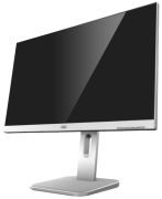 AOC X24P1/GR