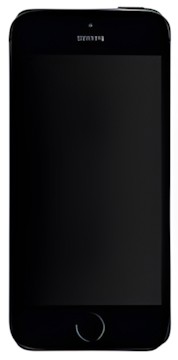 Apple iPhone 5s (16GB)