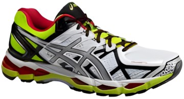 Asics Gel-Kayano 21 Herren Preisvergleich