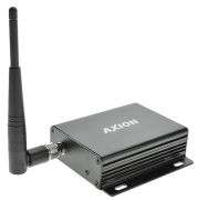 Axion