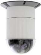 Axis 231D