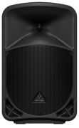 Behringer B110D
