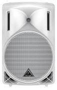 Behringer B215D