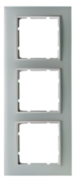 Berker Glasrahmen 10136909