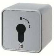 Berker Schlüsselschalter 4466