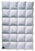Billerbeck 302 Almira Mono 155 x 200 cm Billerbeck 302 Almira Mono 155 x 200 cm