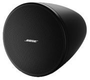 Bose DesignMax DM3P