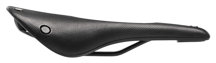 Brooks Cambium C15 Carved All Weather