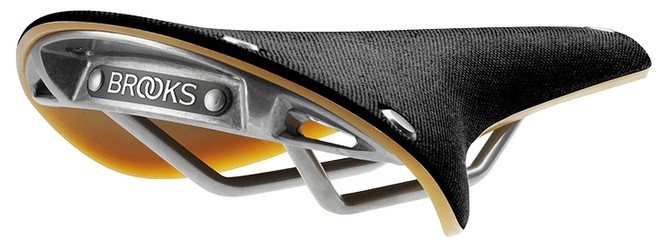 Brooks Cambium C17
