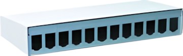 BTR E-DATmodul 12er AP-Gehäuse RW, unbestückt