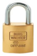 Burg-Wächter