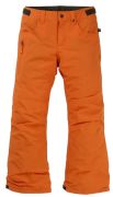 Burton Barnstorm