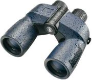 Bushnell