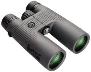 Bushnell