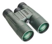 Bushnell