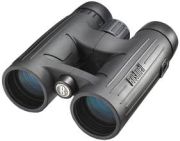 Bushnell