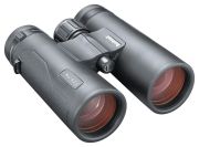 Bushnell