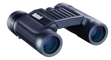 Bushnell
