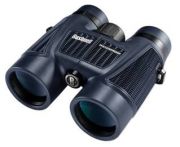 Bushnell