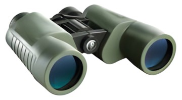 Bushnell