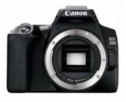 Canon EOS 250D + 18-55 mm + 50 mm