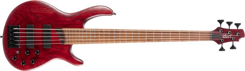 Cort B5 Element