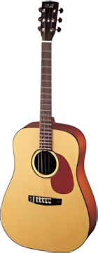 Cort Earth 100
