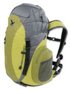 Salewa