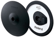Roland CY-15R