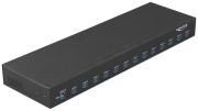 Delock 19" Industrie Hub 13 x USB 3.1 Gen 1 Typ-A (64039)