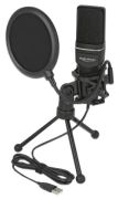 Delock USB Kondensator Mikrofon Set (66331)