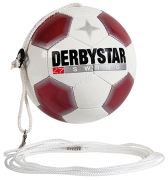 Derbystar