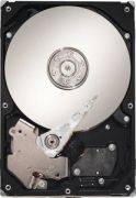 Seagate