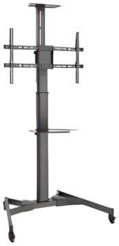 Digitus
