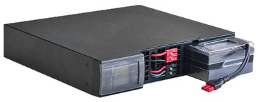 Digitus