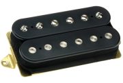 DiMarzio