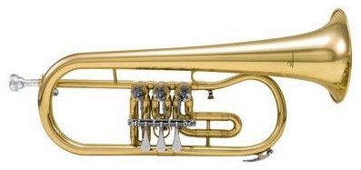 Dimavery FH-310D