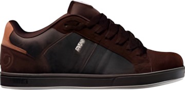 DVS