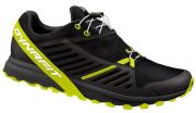 Dynafit Alpine Pro Herren