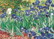 Editions Ricordi Van Gogh Iris 1000 Teile