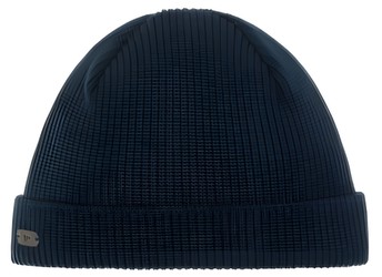 Eisbär