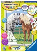 Ravensburger